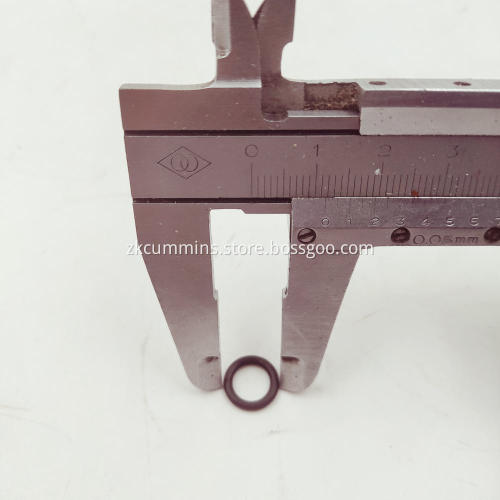 3052587 Cummins O Ring Seal